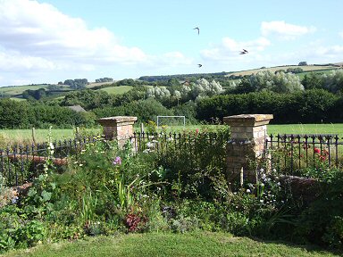 /images/swifts_over_little_school_garden_2.jpg /images/swifts_over_little_school_garden_2.jpg